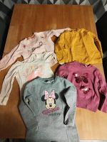 5 Pullover/Langarmshirts 92 Sachsen - Oelsnitz/Erzgeb. Vorschau