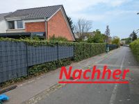 Gartenpflege Gartenservice Heckenschnitt Rasen Unkraut Gärtner !! Hannover - Nord Vorschau