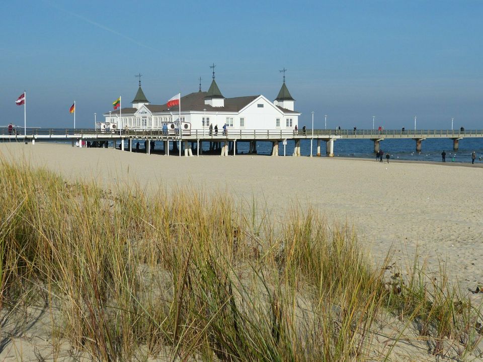 Ferienhaus • Zinnowitz • Ostsee • mit Hund • Kamin in Zinnowitz