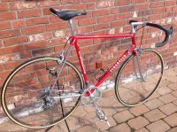 ***Vintage Rennrad Pinarello Gavia rot***Neu!!! Niedersachsen - Evessen Vorschau