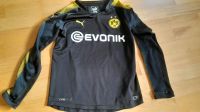 BVB Trikot Kinder Größe 152 Bayern - Hersbruck Vorschau