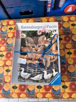 Katzenpuzzle Niedersachsen - Gronau (Leine) Vorschau