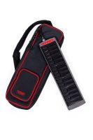 Hohner Airboard Carbon 32 Melodica Auslaufmodell Dresden - Neustadt Vorschau