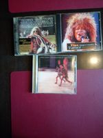 Cd Sammlung Janis Joplin / Tina Turner / Paul Simon Bielefeld - Bielefeld (Innenstadt) Vorschau