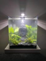 Nanocube Aquarium 60 Liter mit Zubehör Hessen - Borken Vorschau