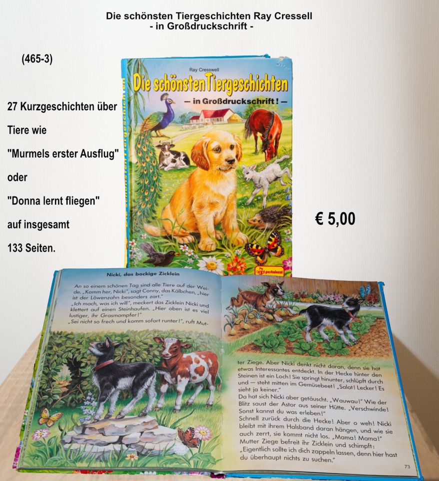 Kinderbücher u.a. Fühlbuch, Winnie Puuh, Wimmelbuch (465) in Westoverledingen