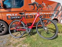 E-Bike BBF Avignon BOSCH Active 400Wh RH57 2x an Lager ca. 1000km Mecklenburg-Vorpommern - Ahrenshagen-Daskow Vorschau