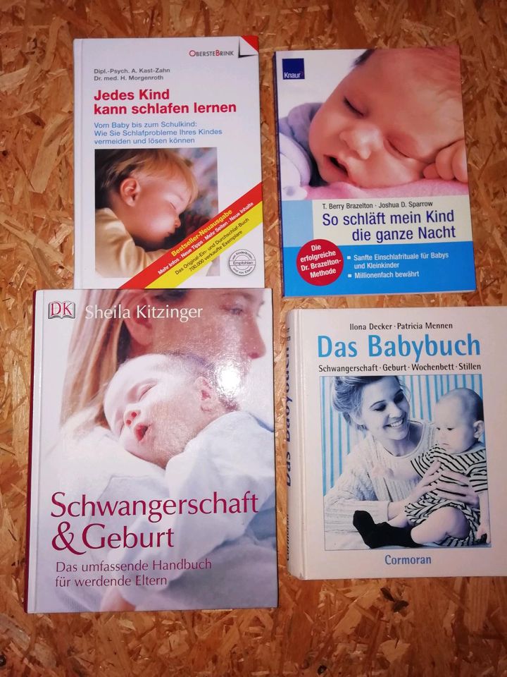 Babybücher Schwangerschaft, Geburt, Stillen usw in Fraureuth