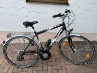 Fahrrad Tecnobike Capri Bayern - Langquaid Vorschau