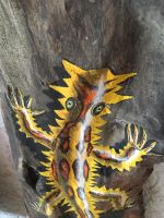 Eidechse,Salamander,Kunst, Art,Treibholz,Gecko,Deko,Geschenkideen Rheinland-Pfalz - Bogel Vorschau