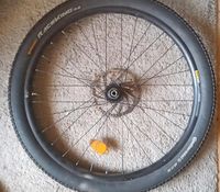 27 5 Hinterrad 142x12  disc Mavic tubeless ready formula evo Berlin - Treptow Vorschau