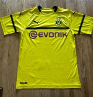 BVB Borussia Dortmund Champions League Trikot 18/19 Puma M Schleswig-Holstein - Großkönigsförde Vorschau