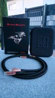 Audioquest Black Beauty XLR Kabel in 1,5m / NP 1.259€ Bayern - Straubing Vorschau