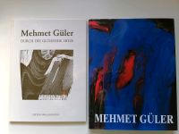 Mehmet Güler, Durch die glühende Hitze + Friedliche Besetzung Hessen - Kassel Vorschau