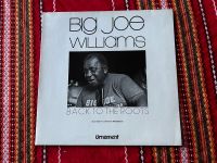Big Joe Williams Back to the Roots LP Ludwigslust - Landkreis - Ludwigslust Vorschau