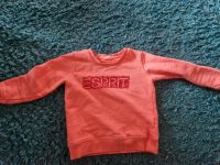 Esprit Pullover gr. 104/110 Hessen - Wächtersbach Vorschau