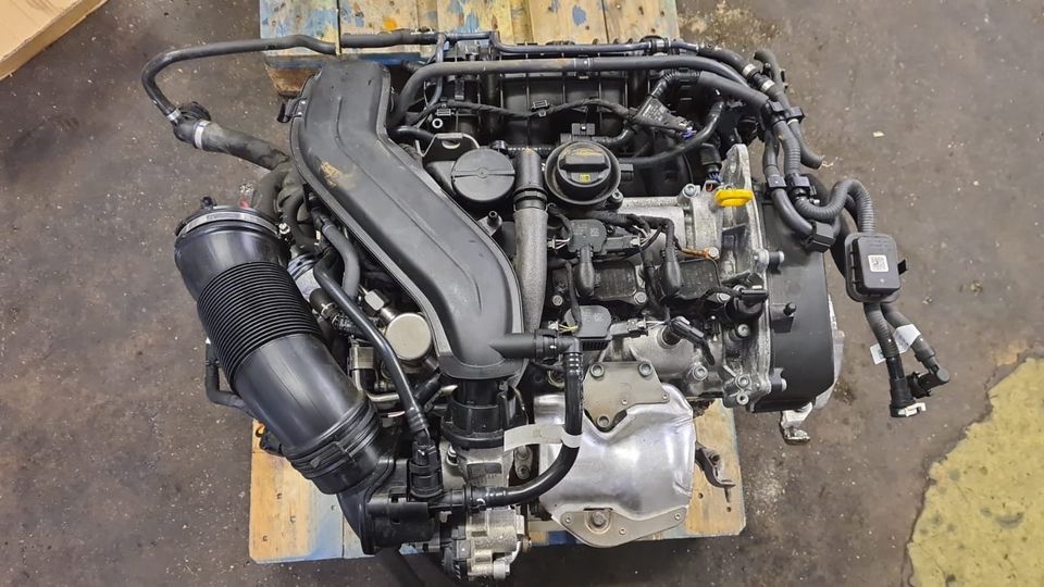 AUDI VW TIGUAN SEAT 1.5 TSI MOTOR ENGINE 2022 KOMPLETT 17TKM DPB in Bonn