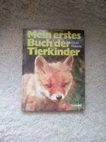 Mein erstes Buch der Tierkinder Bayern - Krummennaab Vorschau