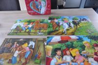 Puzzle Koffer mit 4 Puzzle Bibi und Tina Nordrhein-Westfalen - Xanten Vorschau
