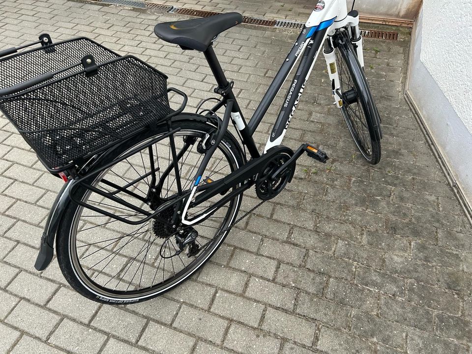 Damenfahrrad Pegasus 28 Zoll in Glauchau