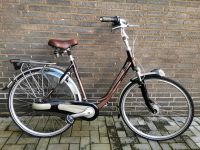 ‼️ Gazelle Orange ‼️ Damenfahrrad Damenrad Hollandrad Duisburg - Walsum Vorschau