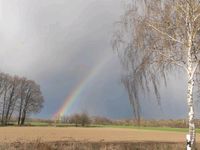 Rückführung in ein früheres Leben Niedersachsen - Bomlitz Vorschau