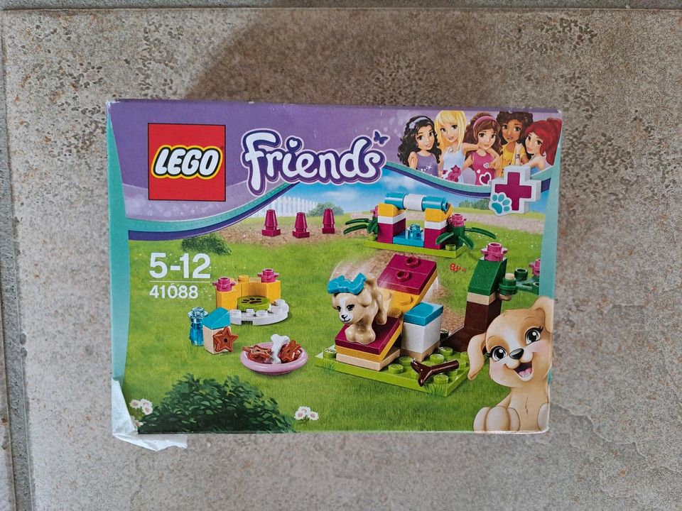 Lego Friends 41088 Welpentraining in Centrum