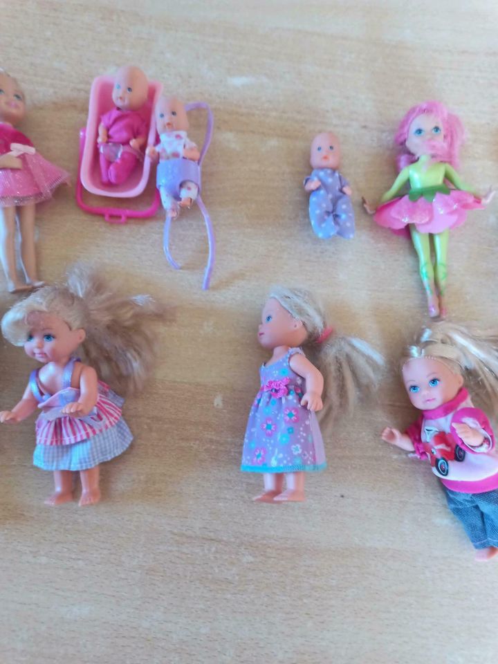 Barbie kleine Puppen in Tholey