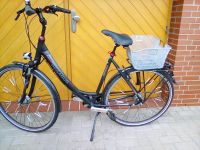 Damen Fahrrad  von Pegasus Niedersachsen - Norden Vorschau