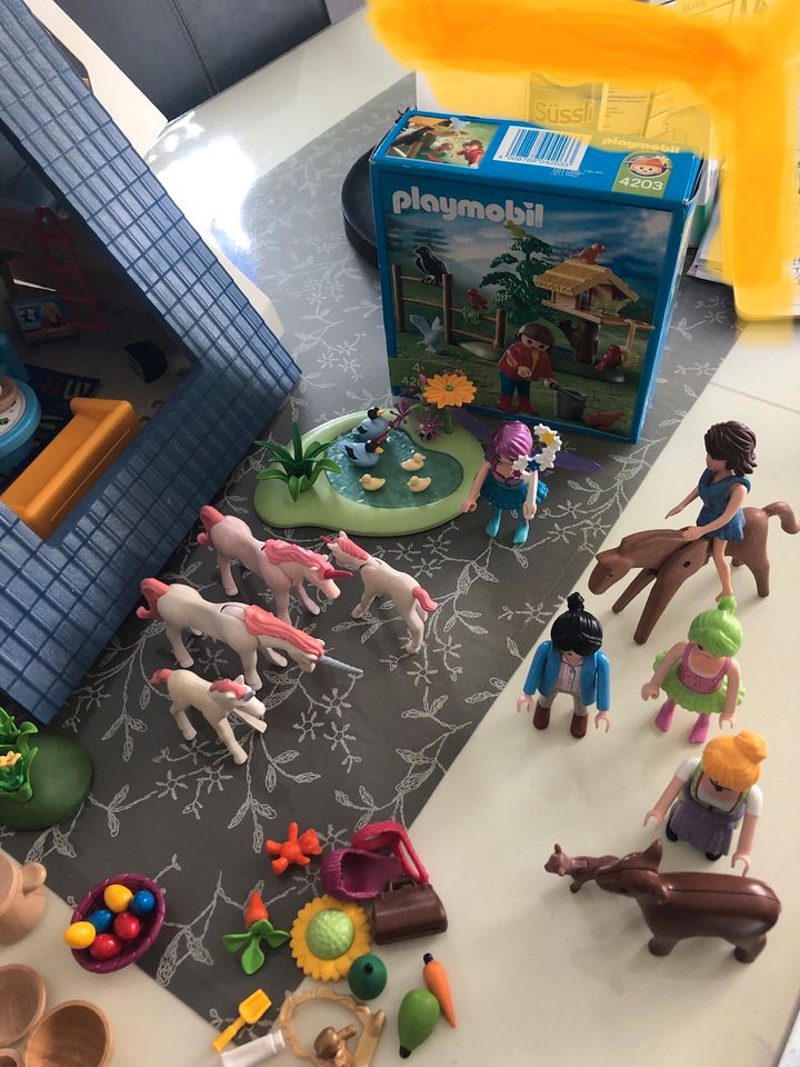 Großes Ferienhaus/ Fee und Einhörner Playmobil in Ochtrup