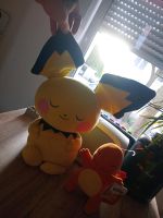 Pokemon Glumanda & Pichu Plüschtiere Nordrhein-Westfalen - Stolberg (Rhld) Vorschau
