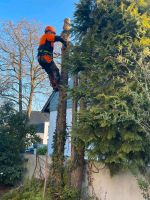 Baumfällung Baumfäller Gartenarbeit Gärtner Fräsen Umgraben Hecke Essen-West - Frohnhausen Vorschau