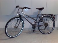 Ben Tucker Fahrrad Cityrad 26 Zoll Dresden - Cotta Vorschau