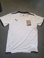 Puma Shirt Neu Gr. 152 Berlin - Reinickendorf Vorschau