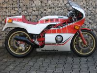 Bimota SB3 in der seltenen Lackierung aus privatem Museum Bayern - Langenpreising Vorschau