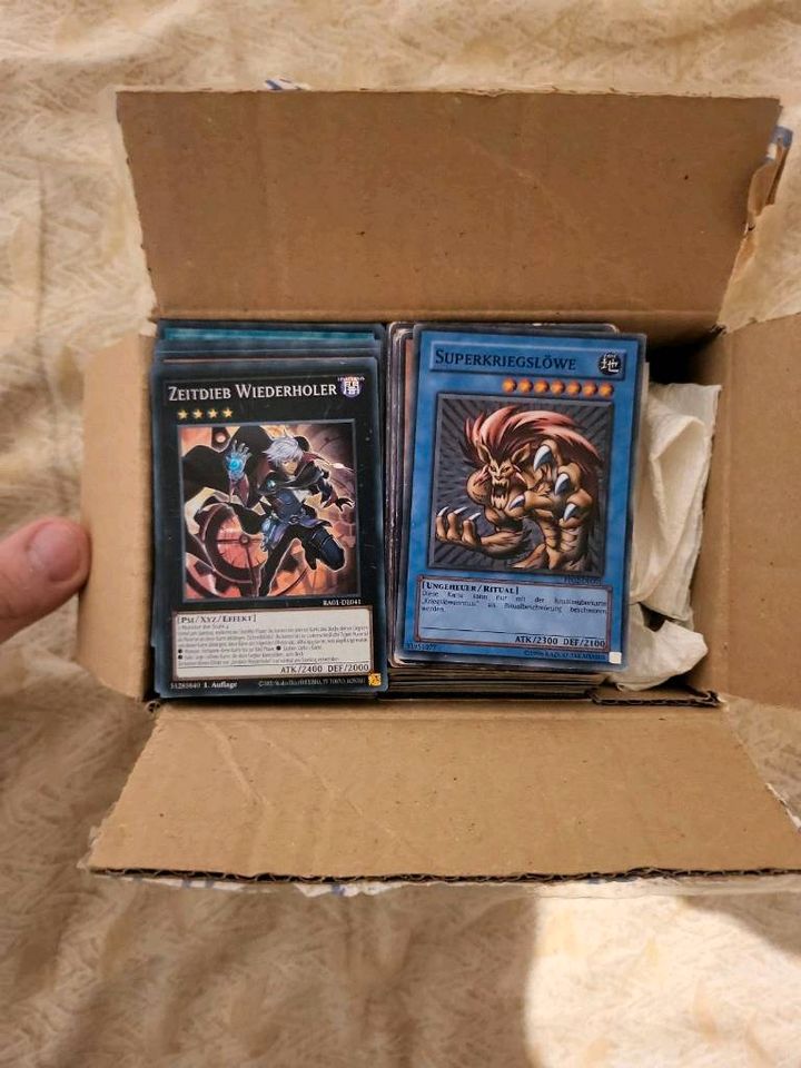 Yu-Gi-Oh Karten Sammlung in Rodgau