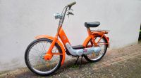 Piaggio Ciao 1. Serie 19 Zoll Vario Moped O-Lack Rheinland-Pfalz - Mainz Vorschau