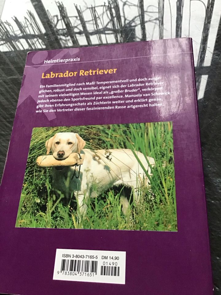 Heimtierpraxis Labrador Retriever in Oschatz