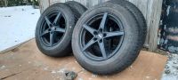 Winterreifen Mazda CX-5 (KE,GH)(KF,KFE)  225/65R17 102H Räder Schleswig-Holstein - Pronstorf Vorschau