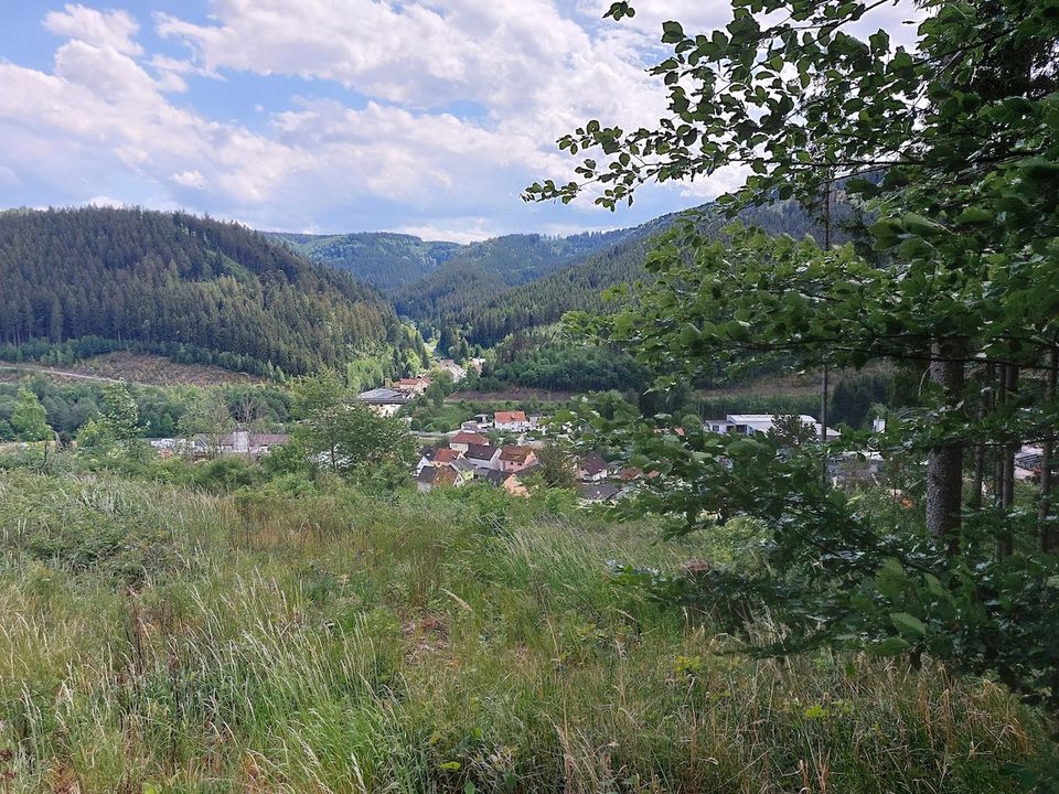 GANESHA-IMMOBILIEN...schöne Waldlichtung mit Fernblick ins Tal zu verkaufen ! in Wallenfels