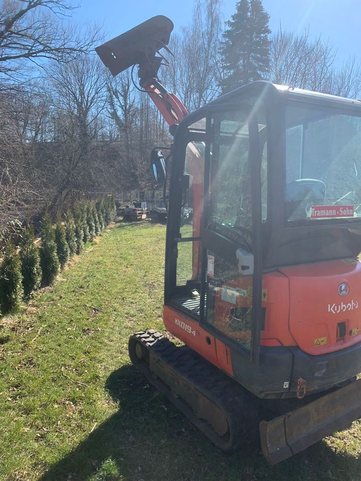 Zum Vermieten Minibagger Bagger Kubota KX019-4 in Radeberg