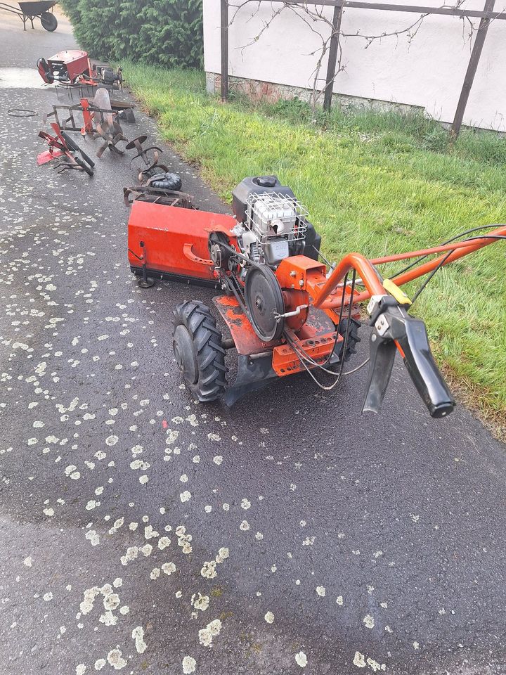 Traktor Einachsschlepper in Leutersdorf