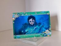 Demon Slayer Kimetsu no Yaiba Sammelkarte Anime Manga Merchandise Leipzig - Eutritzsch Vorschau