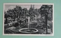 Alte Postkarte AK Bad Pyrmont Palmengarten Baden-Württemberg - Gailingen am Hochrhein Vorschau