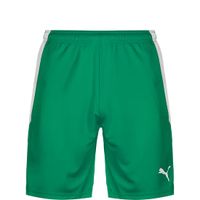 PUMA Team Liga Trainigsshorts/ Fußball Shorts, Gr. 176, NEU Düsseldorf - Urdenbach Vorschau