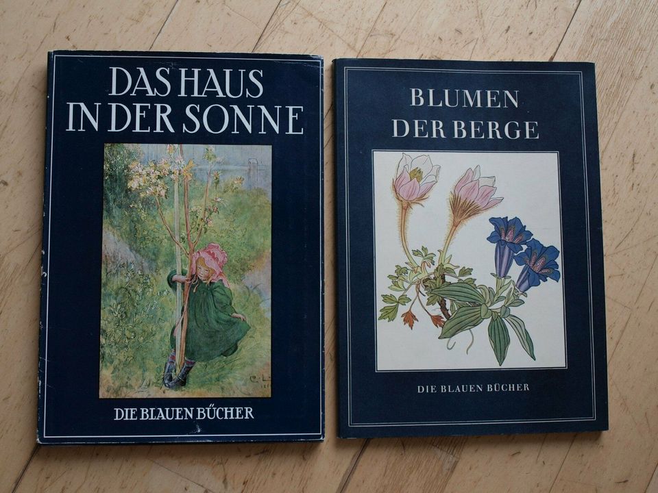 Die Blauen Bücher,Das Haus in der Sonne,Larsson, Blumen der Berge in Gummersbach