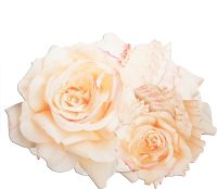 12x Tischset Platzsets Glasuntersetzer Rosen Hochzeit gebraucht Thüringen - Weimar Vorschau