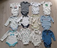 Kurzarmbodys, Langarmbodys, Wickelbodys Gr  62/68, H&M, Baby Club Bayern - Landshut Vorschau