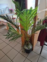 Palme aus Kunststoff Garz/Rügen - Zudar Vorschau
