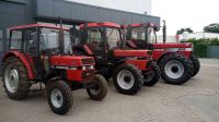 SUCHE Case IH IHC 433 956XL 1455 CVX Puma Maxxum Nordrhein-Westfalen - Borken Vorschau